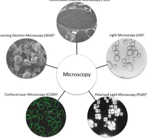 Figure 2-21: Examples of starch granule micrographs from various microscopy techniques; a) 