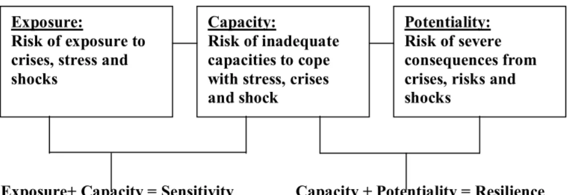 Figure  7:  Combining  Moser’s  approach  with  Watts  and  Bohle’s  three  co- co-ordinates of vulnerability 