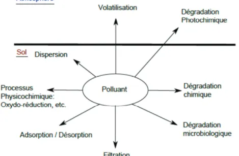 Figure 18 : Processus physico-chimiques et biologiques des polluants organiques dans les sols  (www.ecosociosystemes.fr - modifié)  ! ( &amp; # ! &amp; : (   *+ !! 678 ! ( 3 5 # *   -* ! # 3 5 # *  - * ! # ! ' &amp;&amp; 3, &lt;L 785: &amp; ! # C ! ( &amp;