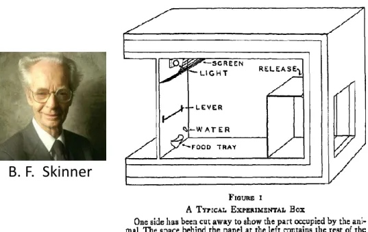 Figure  1  Boîte  expérimentale  de  conditionnement  opérant,  concept  développé par B.F