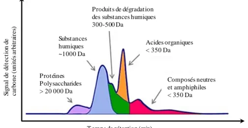 Figure 3 : Fractions de la MON  - Chromatogramme obtenu avec détection par chromatographie en phase  liquide et carbone organique (LC-OCD) Image adaptée de Schrotter et al., (2010)