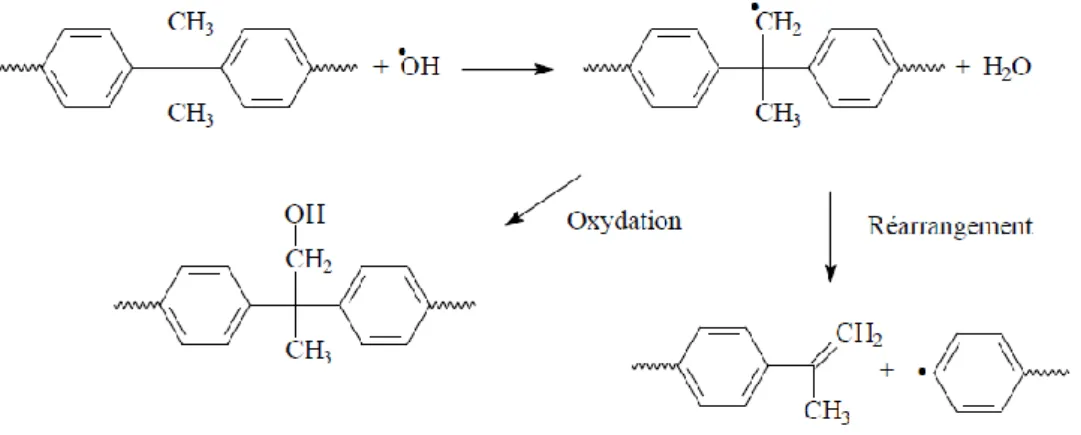 Figure 14 : Proposition de mécanisme radicalaire proposé par Gaudichet-Maurin et Thominette, (2006) pour  l’oxydation  et la  rupture  de  chaine  du  PSU  au  niveau  du  groupement  isopropyle