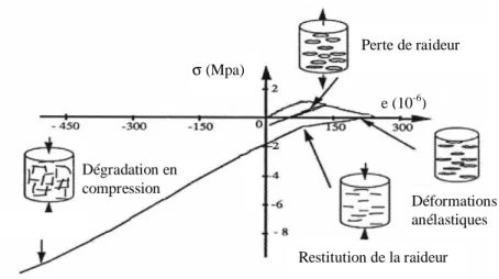 Figure 1.5 -Essai P.I.E.D : Comportement du béton sous chargement cyclique de traction  compression [Ramtani 1990] 