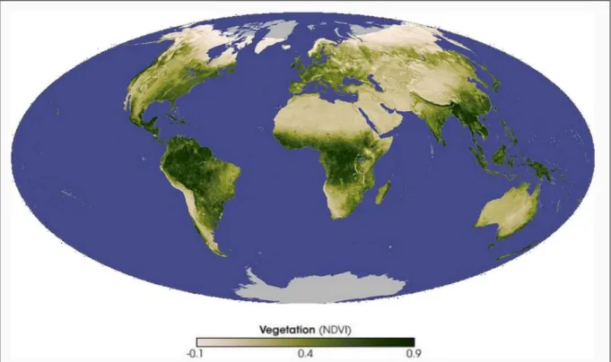 Figure  11:  Exemple  de  la  cartographie  planétaire  de  NDVI    de  novembre  2007  issue  des  données  MODIS  (MOD13Q1)  (Source : http://www.space-awareness.org)