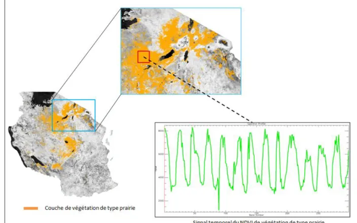 Figure  18:  Exemple  d’extraction  de  profil  temporel  de  NDVI  MODIS  d’un  type  de  végétation  (prairie)  à  partir  de  la  série  d’image NDVI  MODIS