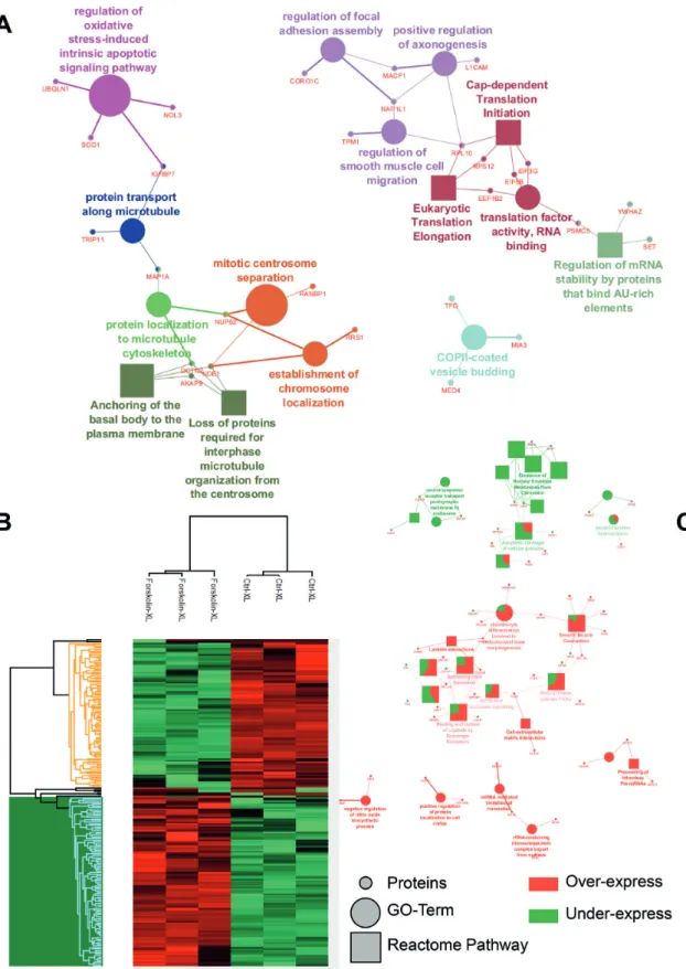 Figure 2. Identified proteins and their related signalling pathways from NCH82 glioma cell nuclei fraction with and without Forskolin