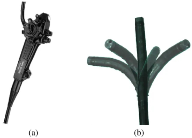 Fig. 1. Control handle (a) and bending tip of a flexible endoscope in different positions (b).