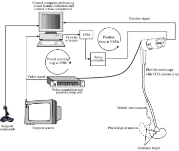 Fig. 4. The robotized endoscope control scheme