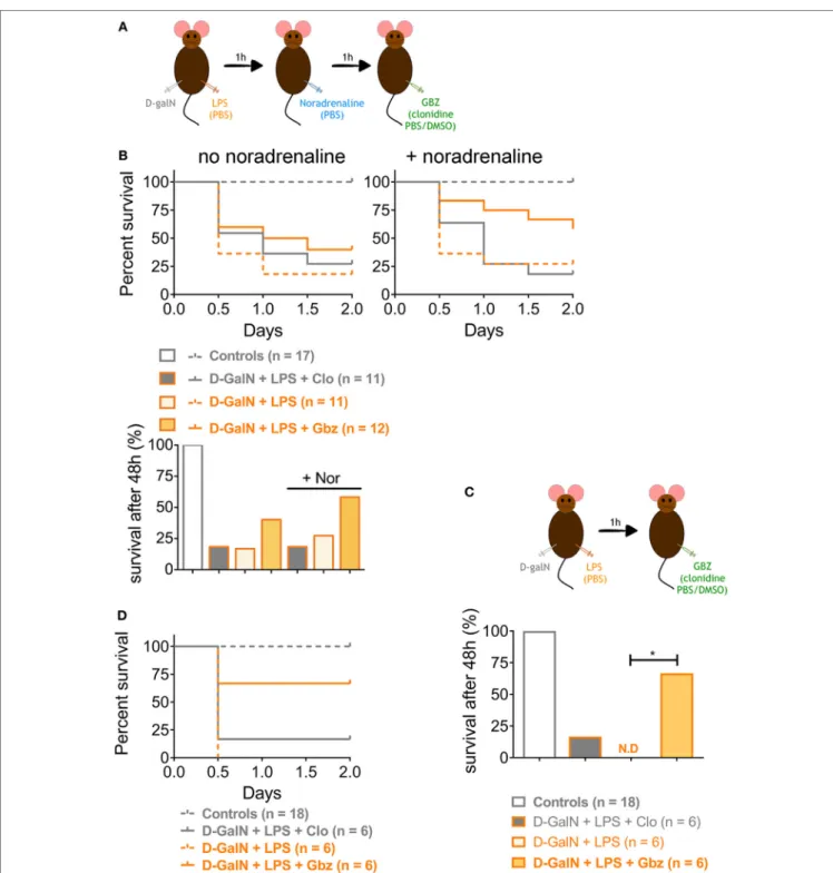 FigUre 4 | Guanabenz (GBZ) rescues mice from lipopolysaccharide (LPS)-induced lethality independently of blood hypotension