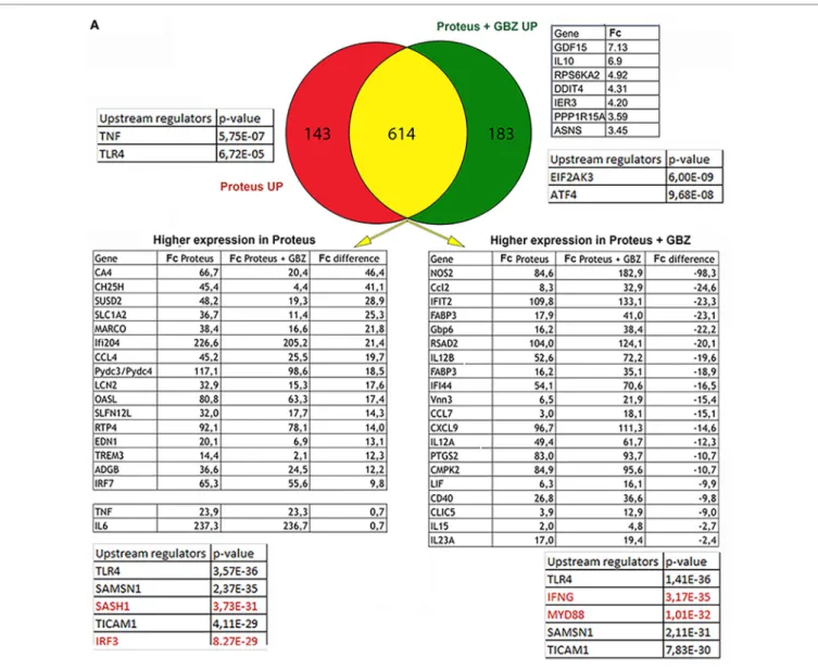 FigUre 1 | Continued