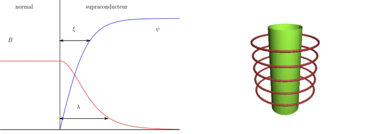 Fig. 1.3: À gauche : Profile du paramètre d’ordre et du champ magnétique à l’in- l’in-terface d’un supraconducteur