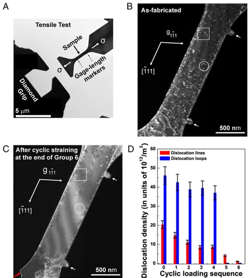 Fig. 1. Cyclic mechanical healing of the aluminum single crystal. (A) Experimental setup for quantitative real-time observations of cyclic tensile loading of the aluminum single crystal inside a TEM