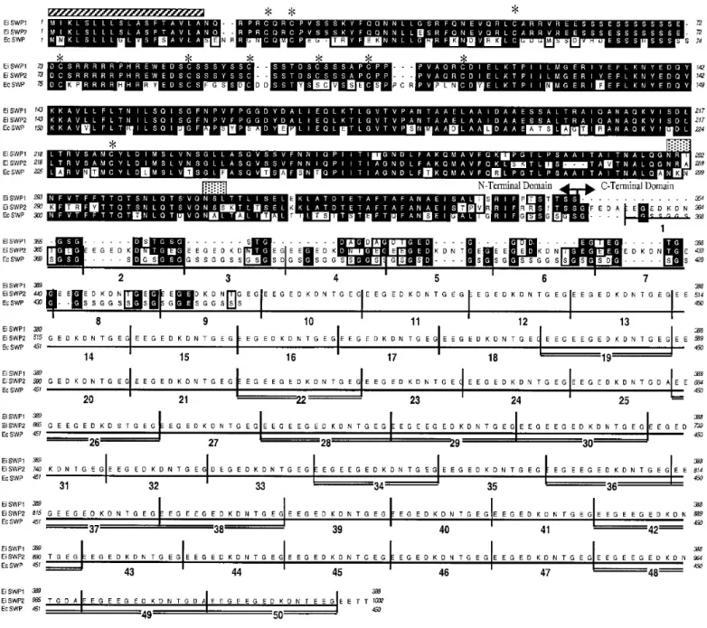 Figure 9. Alignement entre les séquences protéiques des protéines SWPs identifiées chez E