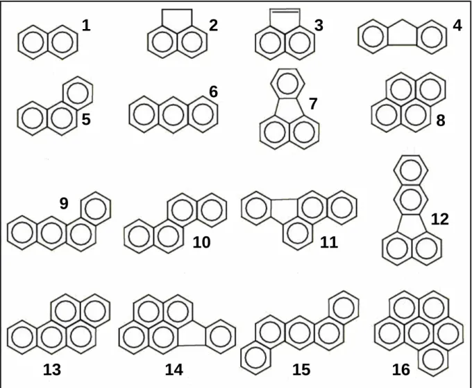 Figure 1. Structure des 16 Hydrocarbures Aromatiques Polycycliques (HAP)  prioritaires selon l’US EPA