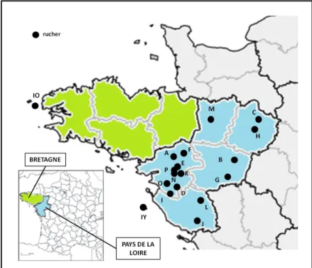 Figure 5. Localisation géographique des 18 ruchers partenaires (point noir) identifiés de A à P  pour les ruchers continentaux, et IO et IY, pour les ruchers insulaires