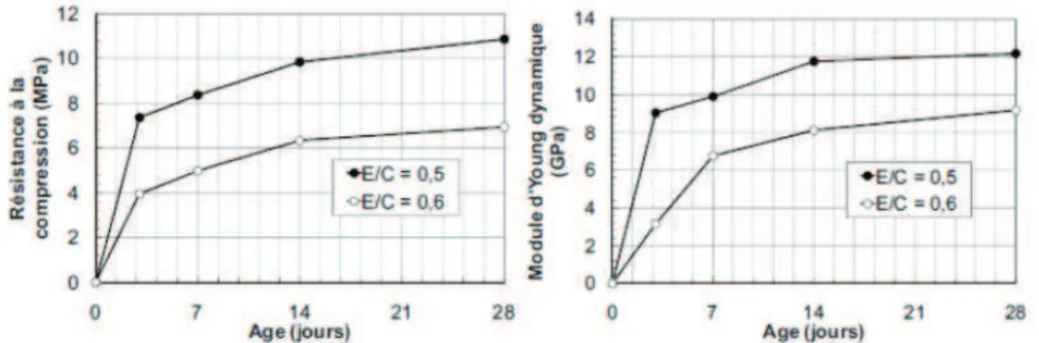 Figure 1.29  Evolution des propriétés mécaniques de deux pâtes de chaux hydraulique formulée : Tradical PF 70  (taux de gâchage de 0,5 et 0,6 [GLO, 11-1]