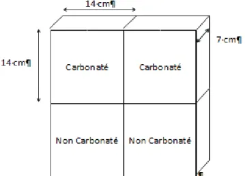 Figure 3.12 Découpage des blocs de béton de chanvre et dimensions 
