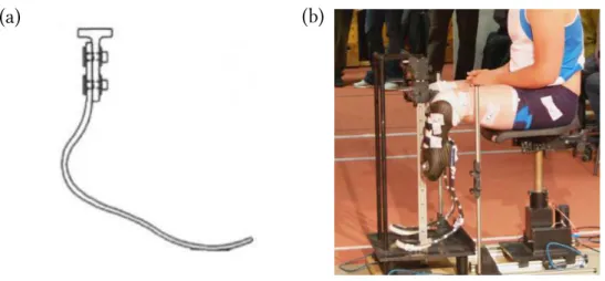 Figure 1.12: Proth`eses en fibre de carbone pour les sprinters amput´es : (a) design possible d’une proth`ese, (b) photographie d’un sprinter ´equip´e de telles