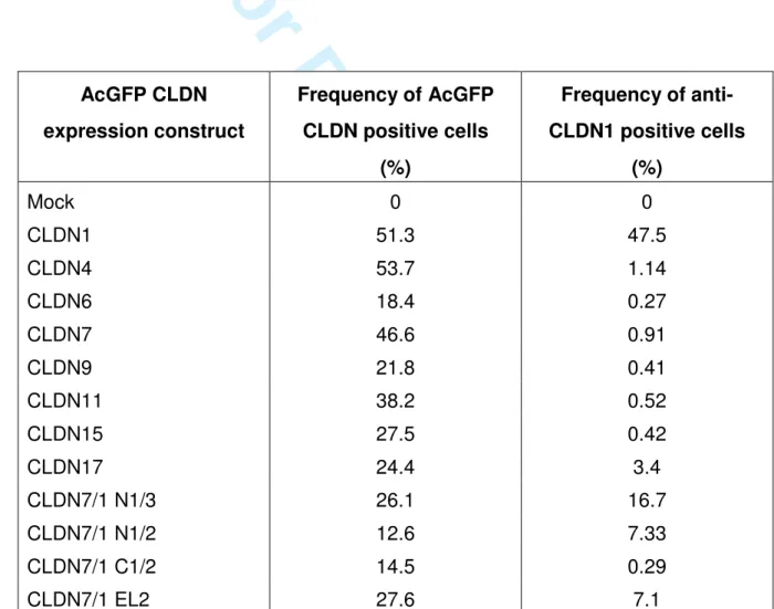 Table  1.  Anti-CLDN1  antibody  reactivity  with  members  of  the  human  CLDN  family