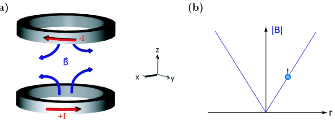 Figure 5.3: (a) Paire de bobines parcourues par des courants oppos´es r´ealisant un champ quadrupolaire