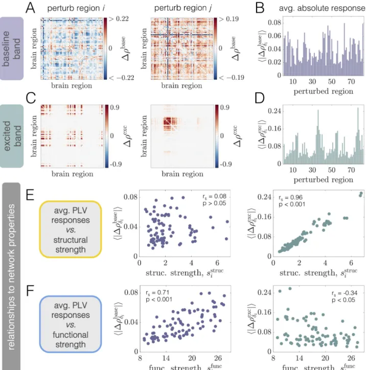 Fig 5. Phase-locking changes at WP1 are driven by local excitations of neural activity, differ between excited and baseline frequency bands, and are differentially related to structural and functional network properties
