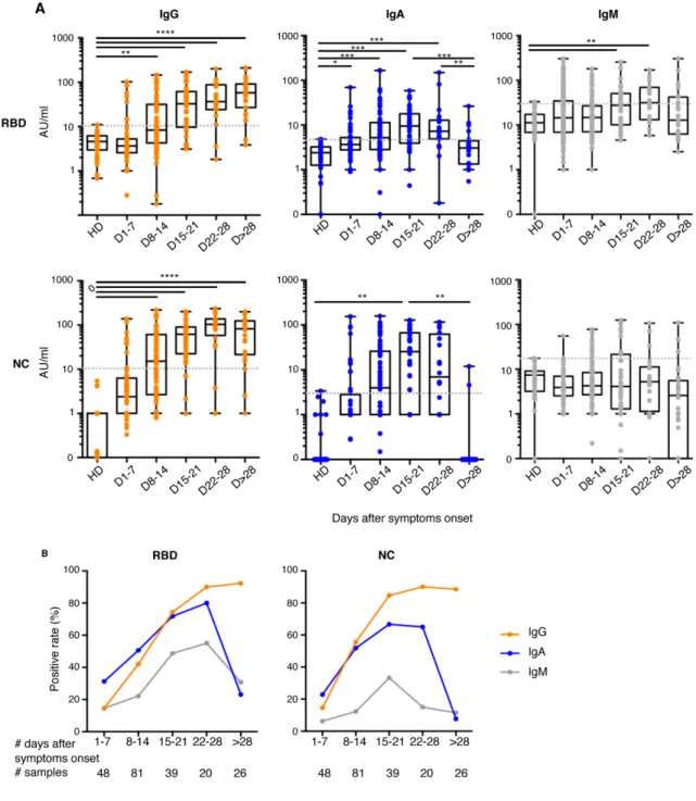 Fig. 2. Antibody responses kinetics to SARS-CoV-2 proteins. A. Specific IgG, IgA, and IgM against spike-1  receptor binding domain (RBD) and Nucleocapsid protein (NC) were measured using photonic ring  immunoassay in 132 patients (clinical characteristics 