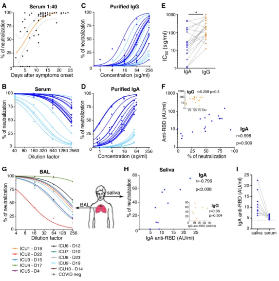 Fig. 3. Neutralizing activity of serum antibodies to SARS-CoV-2. A. Neutralizing activity of 52 sera (dilution 1:40)  from 38 SARS-CoV-2 infected patients (see clinical characteristics in Table S1) was determined using a pseudovirus  neutralization assay