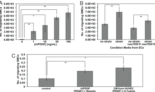 Fig. 3. PDGF enhanced HASMC migration and recruitment. (A) Exogenous application of increasing concentrations of rhPDGF enhanced SM migration across transwells inserts after 24 h in static culture (n ⫽ 4)
