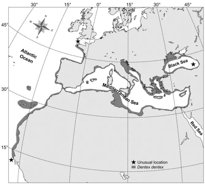Fig. 1 Global geographical range of Dentex dentex (updated from Bauchot and Hureau 1986; 