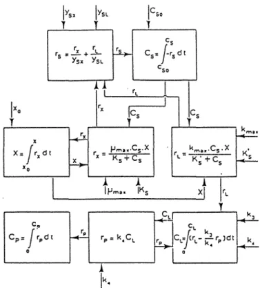 Figure n°3:  diagramme bloc de lafermentation glucuronique (Koga  S.  et al.,  1967) 