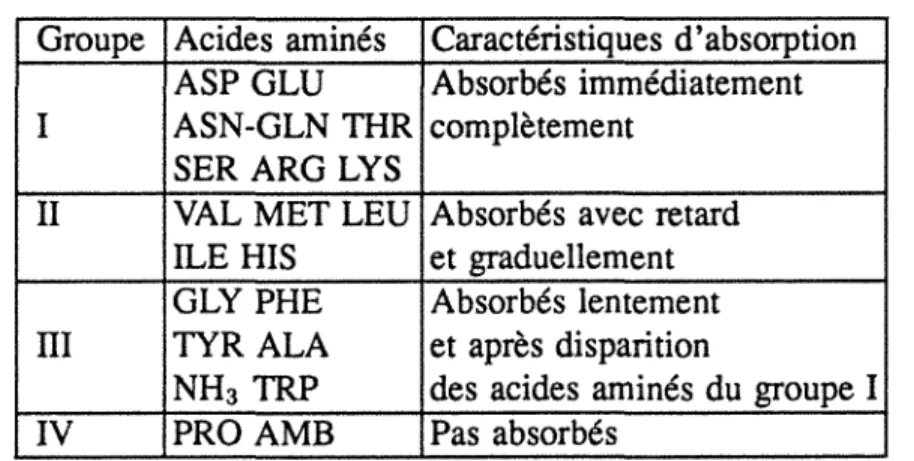 tableau  n° 3:  caractéristiques d'absorption  et ordre  d'entrée  des  ami no  acides