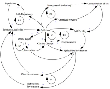 Figure 3: Positive and negative loops in the scenario “more pollution” 