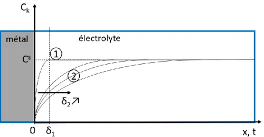 Figure  3  Profils  de  concentration  de  l'espèce  réagissant  à  l'électrode  en  régime  stationnaire  (1)  et  en  régime  transitoire (2)