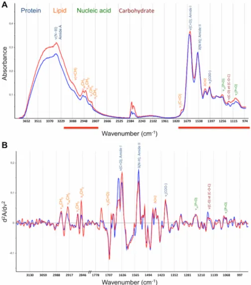 Fig 2. Representative spectra of a patient that was alive (blue) and a patient that was deceased (red) at 6 months