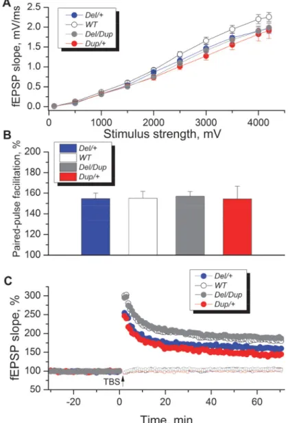 Fig 4. Effects of Sult1a1–Spn region rearrangements on electrophysiological parameters measured in the CA1 area of hippocampal slices