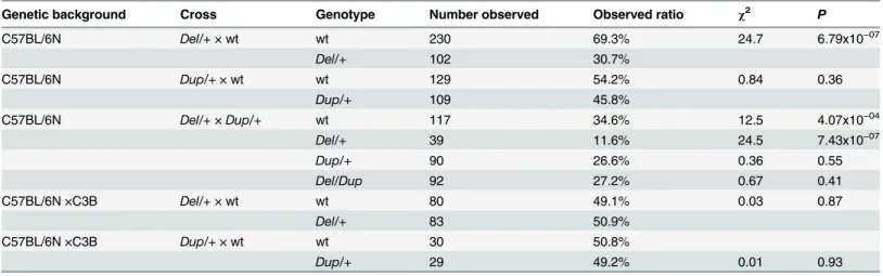 Table 1. Transmission rates of the Sult1a1-Spn deletion ( Del ) and duplication ( Dup ) alleles observed at weaning.