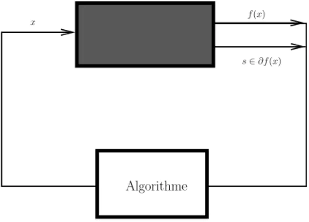 Fig. 2.3 – Boˆıte Noire / Oracle