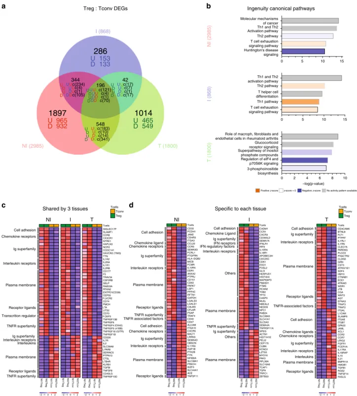 Fig. 6 Transcriptional analysis of CD4 + Tconvs and Tregs from NI and I TDLNs, and tumor