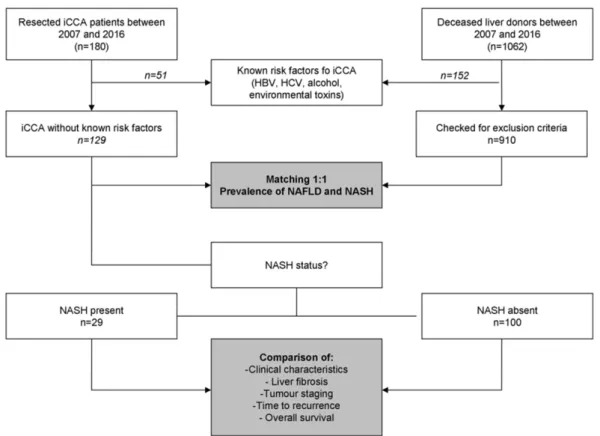 Figure 1. Patients disposition. iCCA, intrahepatic cholangiocarcinoma; NAFLD, non-alcoholic fatty  liver disease; NASH, non-alcoholic steatohepatitis