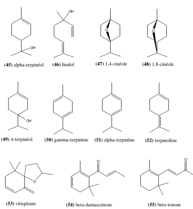 Figure 12. Structures chimiques des monoterpènes et C13-norisoprénoïdes étudiés OH(45) alpha-terpinéol(49) 4-terpinéolOH(46) linalolO(47) 1,4-cinéoleO(48) 1,8-cinéoleO(53) vitispiraneO(54) beta-damascénone O(55) beta-ionone(50) gamma-terpinène(51) alpha-te