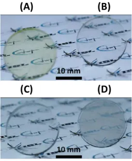 Figure III.16 – Céramiques transparentes après post-traitement HIP à 1600 °C pendant 10h des poudres de spinelle S30 (A), S25 (B), S17 (C) et S38 (D) sur