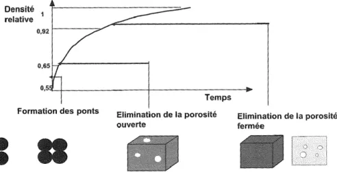 Figure I.29 – Évolution de la densité au cours des étapes de frittage [128].