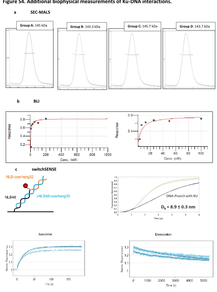 Figure S4. Additional biophysical measurements of Ku-DNA interactions. 