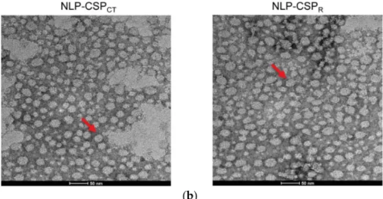 Figure  2.  Structural  characterization  of  NLP-recombinant  proteins. (a)  The  secondary  structure  of  NLP-CSP CT  and NLP-CSP R  was analyzed by circular dichroism (CD) spectrum