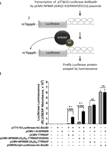 Figure 4. Semi-quantitative capping assay. (A) Experimental strategy to investigate the mRNA capping efficiency of the C3P3-G1 system