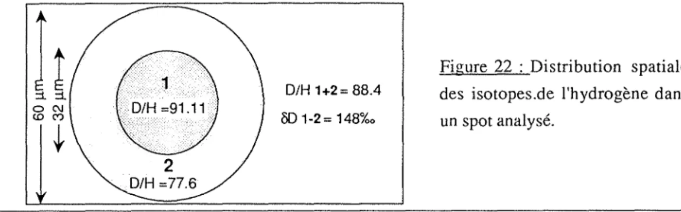 Figure  22  :  Distribution  spatiale  des  isotopes.de  l'hydrogène  dans  un  spot analysé