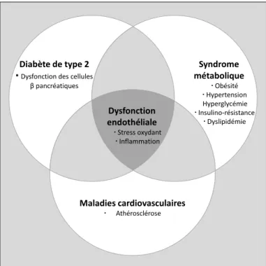 Figure 5. L’interrelation entre la dysfonction endothéliale, le syndrome métabolique, le diabète de type 2 et  les maladies cardiovasculaires