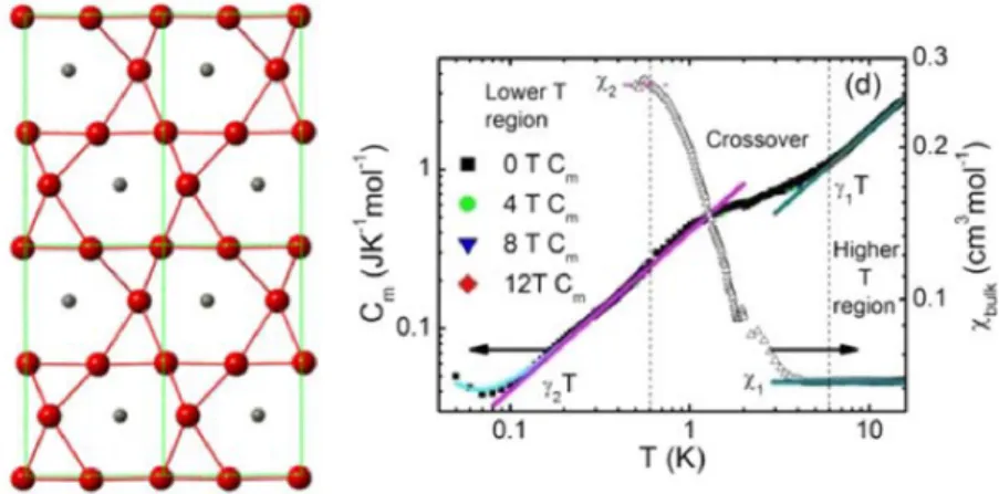 Figure 2.13 – Gauche : structure magnétique de ZnCu 3 (OH) 6 SO 4 . Les ions Cu 2+ sont en rouge et les ions Zn 2+ en noir