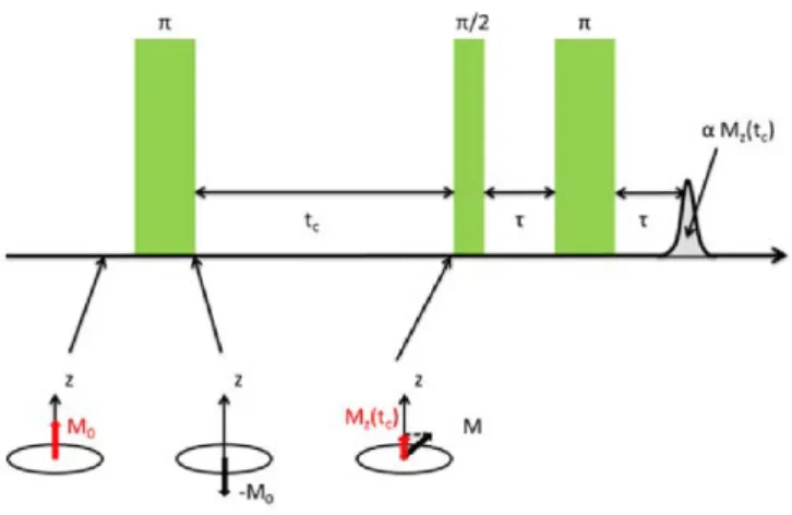 Figure 3.9 – Schéma de la séquence de pulses type &#34;inversion&#34; pour les mesures de relaxation et direction de l’aimantation durant l’expérience.