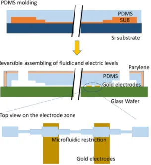 Figure 5.  Fabrication process of reusable microfluidic device coated by a parylene layer.